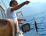 catch a fish - there are fishing lines on every boat
