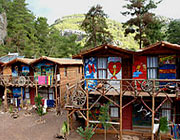 Olympos treehouses